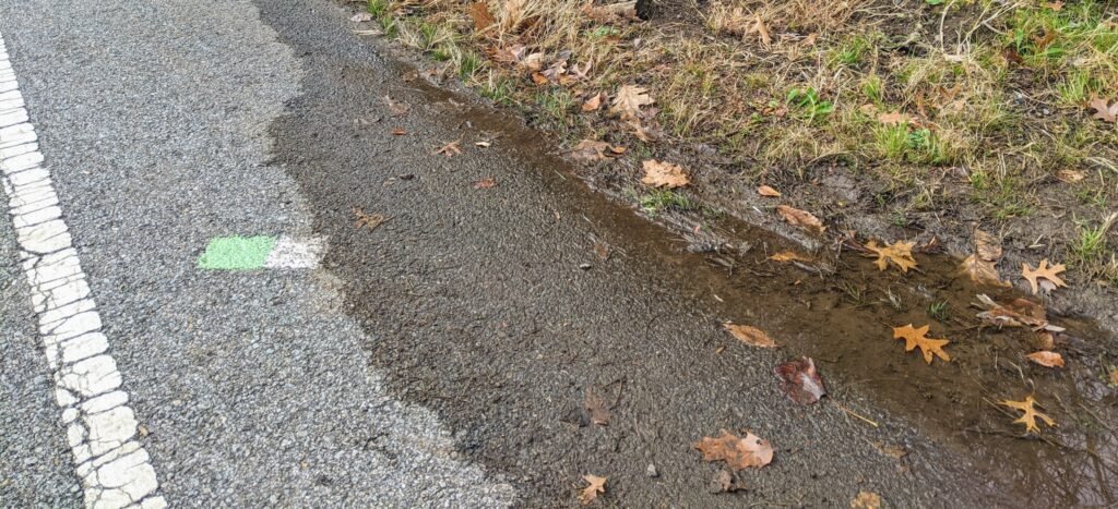 A green and white trail blaze on the ground.