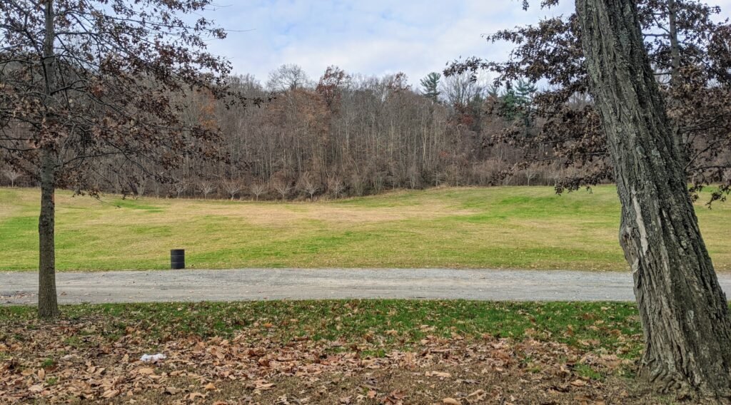 An open hillside, with trees in the background - Dogwood Hillside.