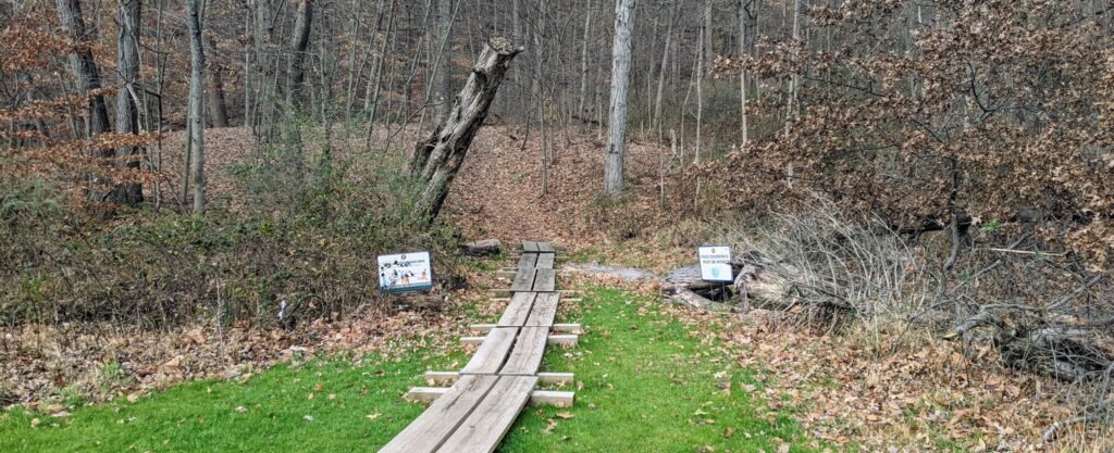 A series of wooden planks, leading to the Oakdale Trail