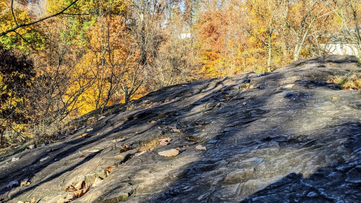 Close up picture of Turtle Back Rock, with some trees in the distance.