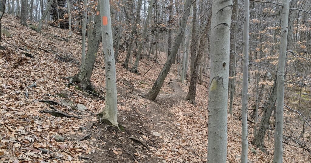 A thin trail with a steep hill to the right.