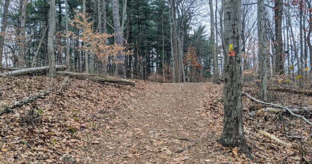 The Turtleback Rock Loop Trail joins the Lenape Trail at this steep hill.