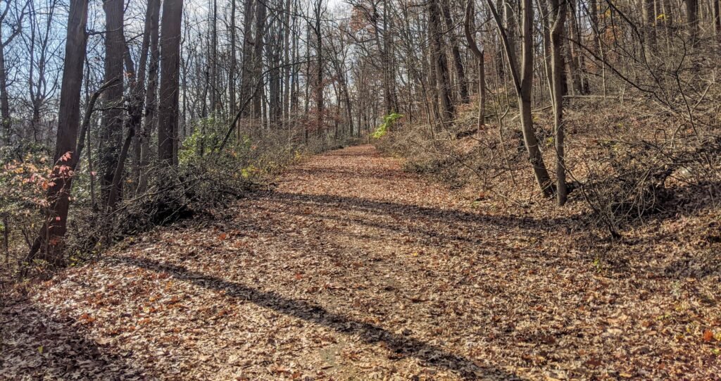 A wide, paved path covered in leaves. This is Valley View Drive.