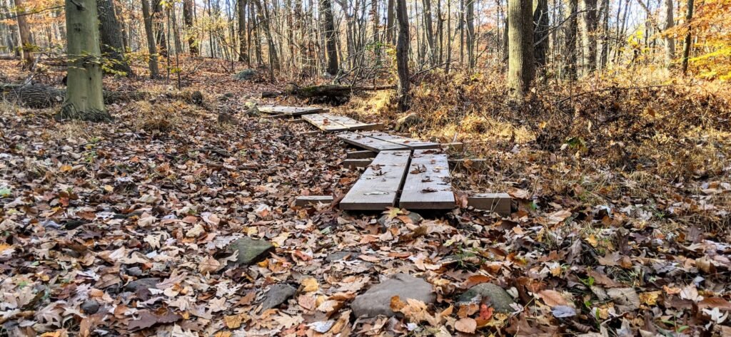 A set of wooden planks covering a muddy part of the Zoo Loop Trail.
