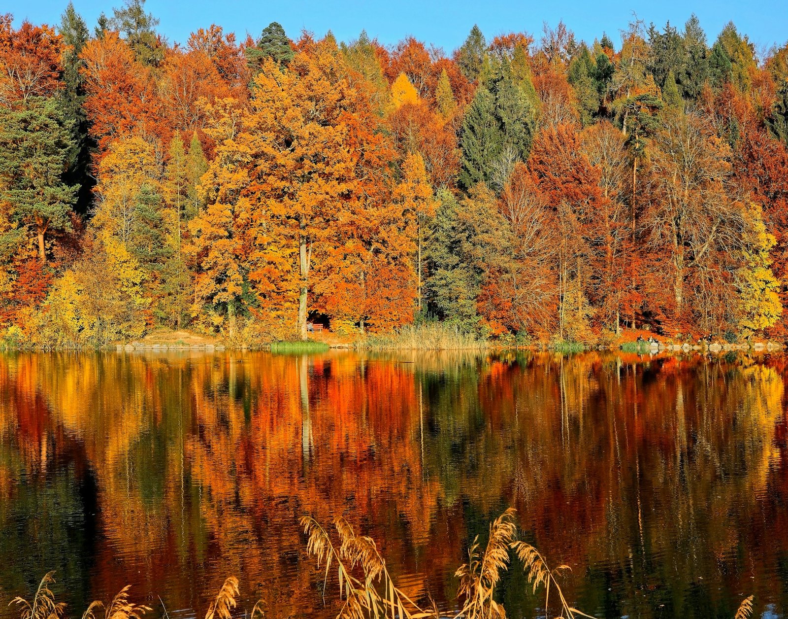 A picture of the fall foliage reflected against a lake. This is similar to my view while trail running this week.