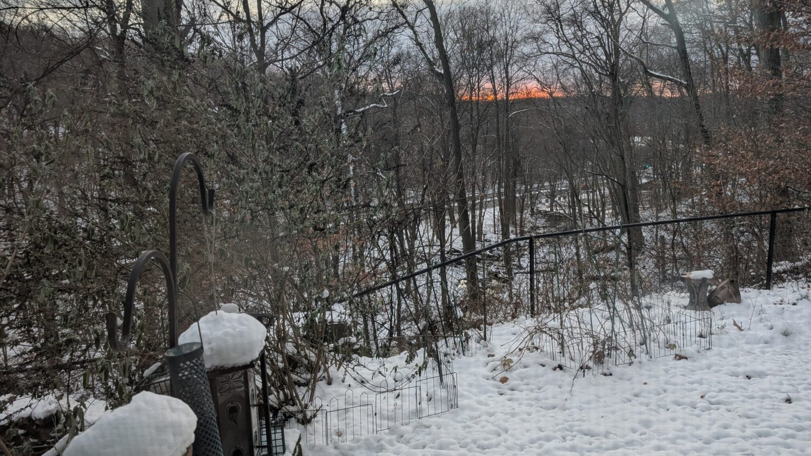 The view of my snowy backyard